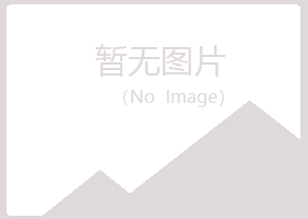 江都夏日化学有限公司